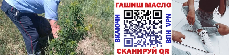 наркошоп  Ельня  shop как зайти  Дистиллят ТГК гашишное масло 